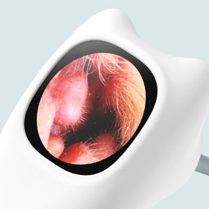 Veterinary Digital Otoscope 1080P HD for Dogs, Cats & Exotics | Rechargeable, Otoscope for Doctors, Clinics