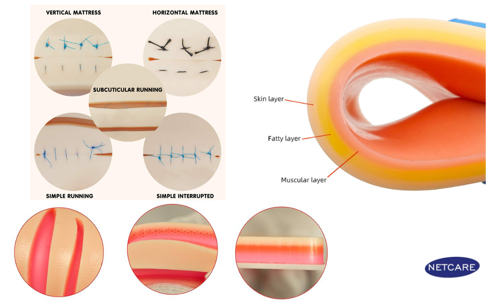 Netcare 3 Layer Large Suture Practice Pad with wounds