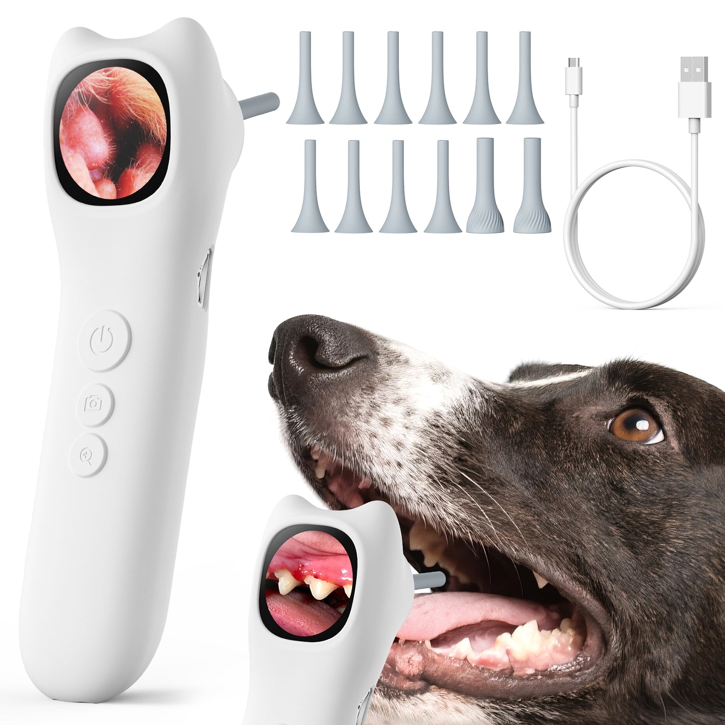 Veterinary Digital Otoscope 1080P HD for Dogs, Cats & Exotics | Rechargeable, Otoscope for Doctors, Clinics